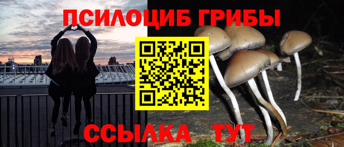Псилоцибиновые грибы мицелий Североуральск