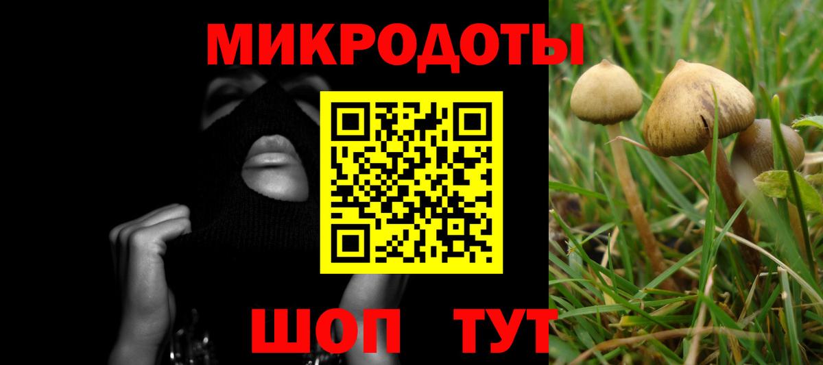Североуральск  Галлюциногенные грибы GOLDEN TEACHER  Вход с VPN 